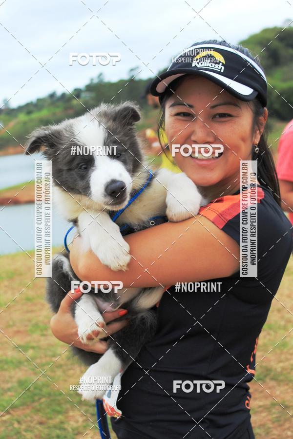 Buy your photos of the eventKaluan� Trail e Canicross - Irisphoto on Fotop