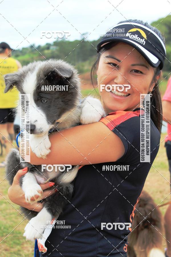 Compre suas fotos do eventoKaluan� Trail e Canicross - Irisphoto no Fotop