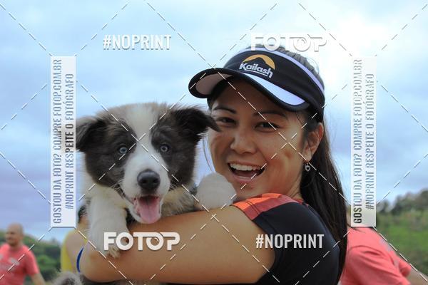 Compre suas fotos do eventoKaluan� Trail e Canicross - Irisphoto no Fotop