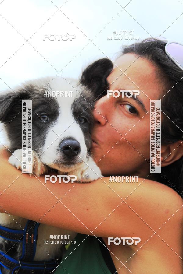 Compre suas fotos do eventoKaluan� Trail e Canicross - Irisphoto no Fotop