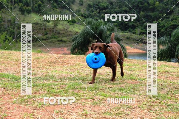 Achetez vos photos de l'�v�nementKaluan� Trail e Canicross - Irisphoto sur Fotop