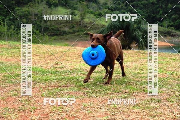 Achetez vos photos de l'�v�nementKaluan� Trail e Canicross - Irisphoto sur Fotop