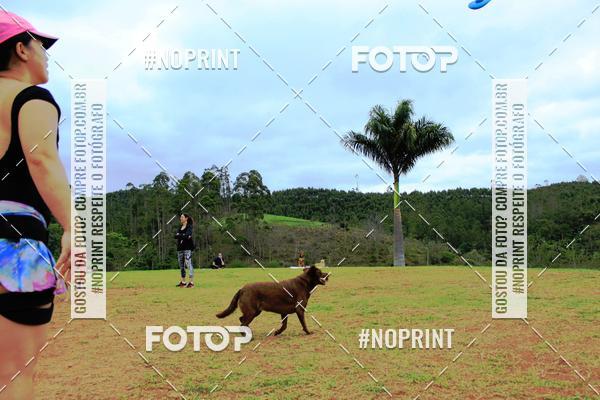 Achetez vos photos de l'�v�nementKaluan� Trail e Canicross - Irisphoto sur Fotop