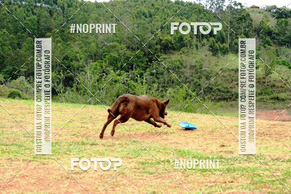 Achetez vos photos de l'�v�nementKaluan� Trail e Canicross - Irisphoto sur Fotop