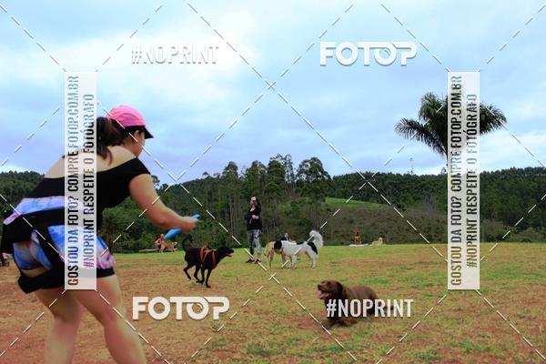 Achetez vos photos de l'�v�nementKaluan� Trail e Canicross - Irisphoto sur Fotop