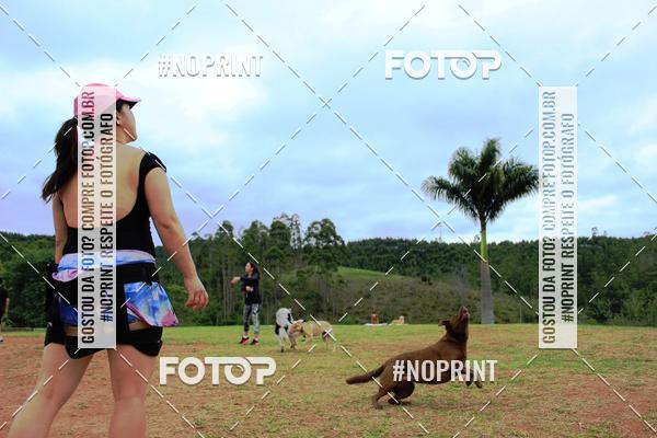 Achetez vos photos de l'�v�nementKaluan� Trail e Canicross - Irisphoto sur Fotop