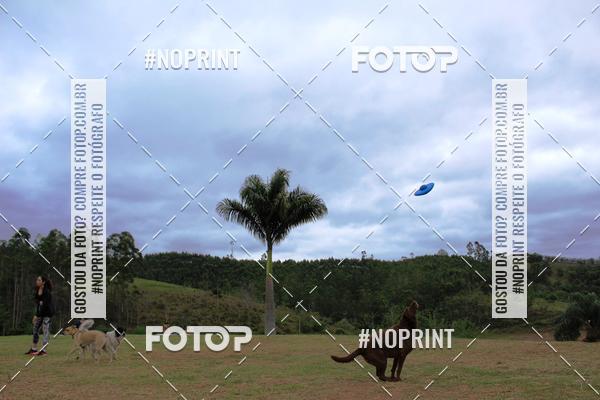 Achetez vos photos de l'�v�nementKaluan� Trail e Canicross - Irisphoto sur Fotop