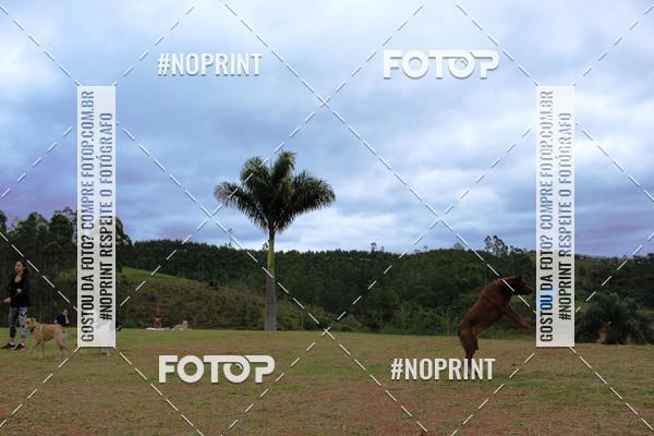 Achetez vos photos de l'�v�nementKaluan� Trail e Canicross - Irisphoto sur Fotop