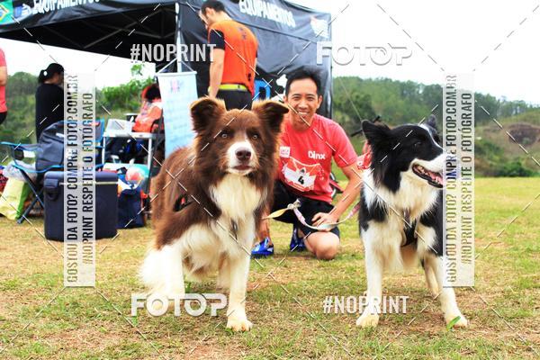 Achetez vos photos de l'�v�nementKaluan� Trail e Canicross - Irisphoto sur Fotop