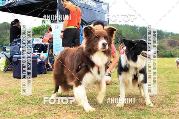 Achetez vos photos de l'�v�nementKaluan� Trail e Canicross - Irisphoto sur Fotop