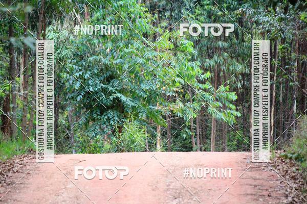 Acquista le foto dell'eventoKaluan� Trail e Canicross - Irisphoto in Fotop