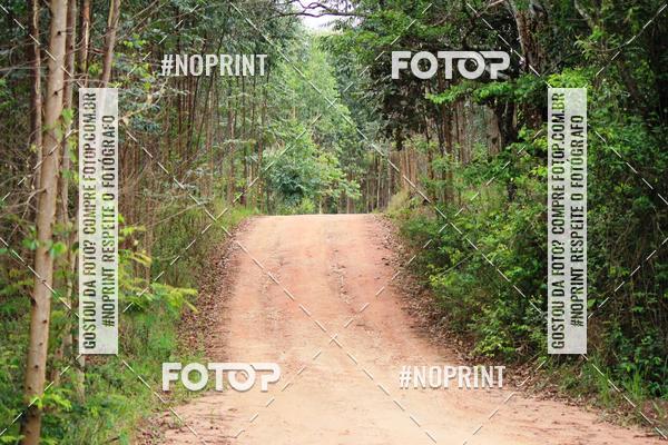 Acquista le foto dell'eventoKaluan� Trail e Canicross - Irisphoto in Fotop