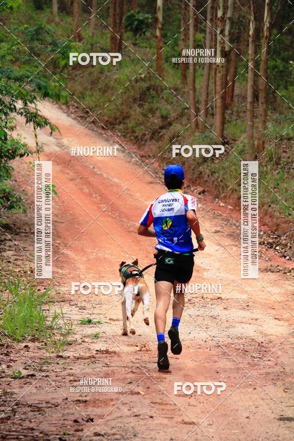 Acquista le foto dell'eventoKaluan� Trail e Canicross - Irisphoto in Fotop