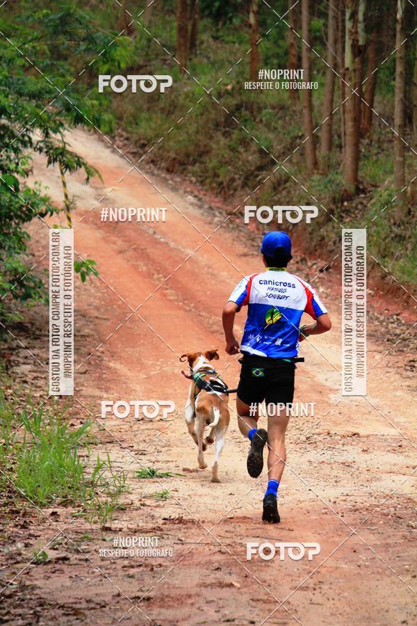Acquista le foto dell'eventoKaluan� Trail e Canicross - Irisphoto in Fotop