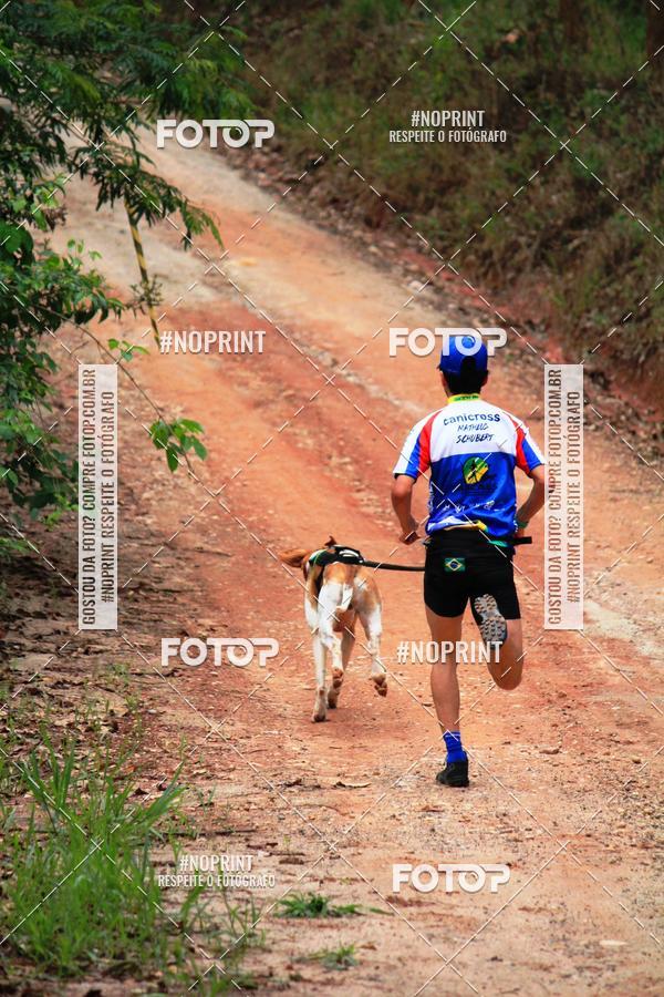 Acquista le foto dell'eventoKaluan� Trail e Canicross - Irisphoto in Fotop