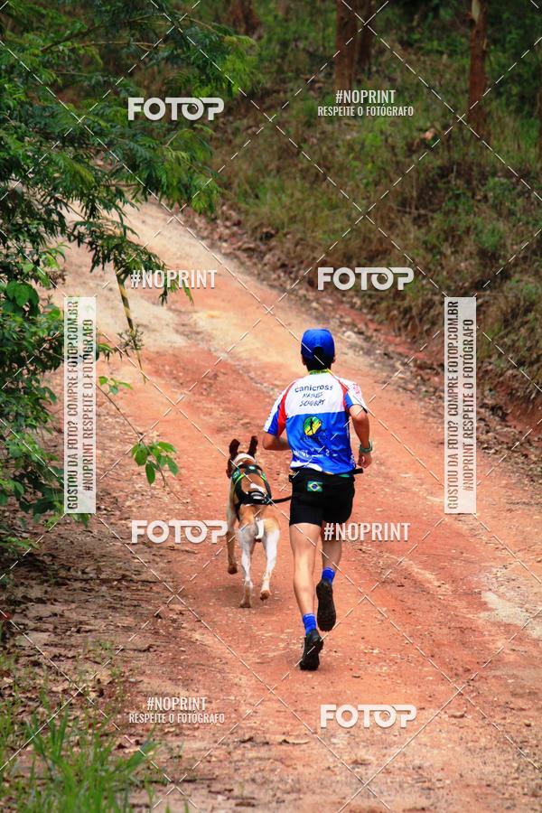 Acquista le foto dell'eventoKaluan� Trail e Canicross - Irisphoto in Fotop