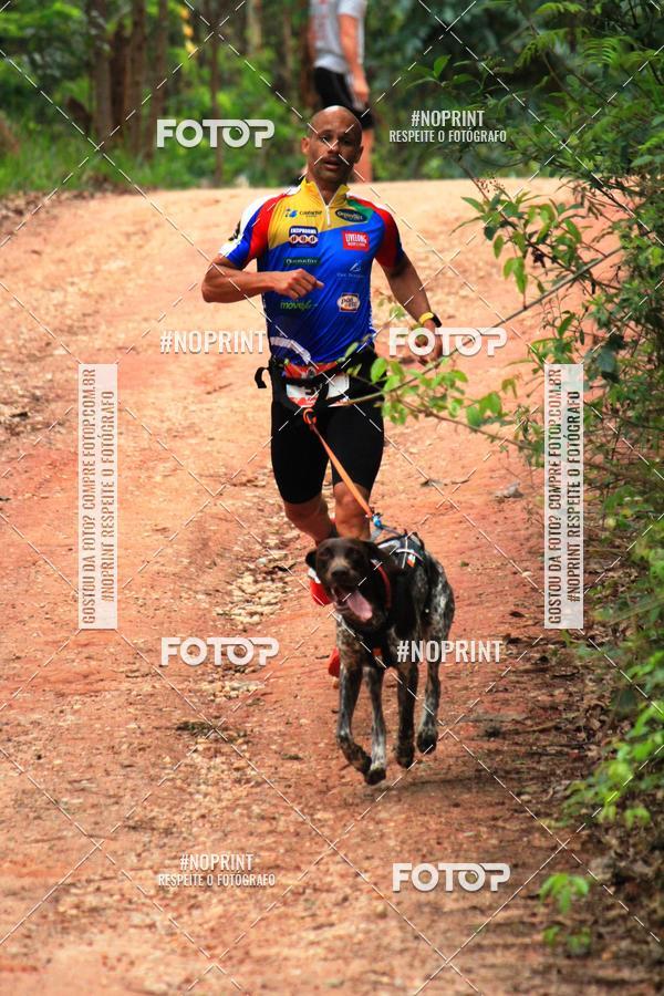 Acquista le foto dell'eventoKaluan� Trail e Canicross - Irisphoto in Fotop