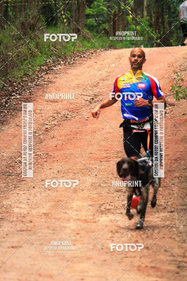 Acquista le foto dell'eventoKaluan� Trail e Canicross - Irisphoto in Fotop