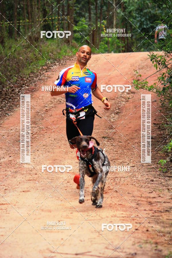 Acquista le foto dell'eventoKaluan� Trail e Canicross - Irisphoto in Fotop