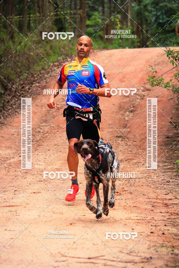 Acquista le foto dell'eventoKaluan� Trail e Canicross - Irisphoto in Fotop