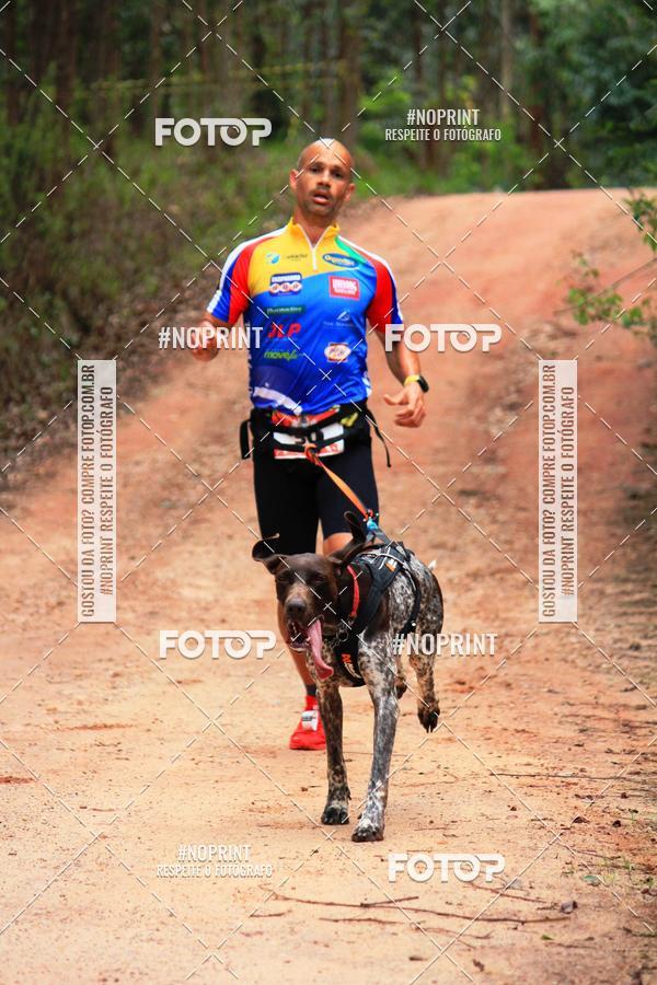 Acquista le foto dell'eventoKaluan� Trail e Canicross - Irisphoto in Fotop