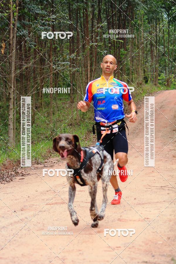 Acquista le foto dell'eventoKaluan� Trail e Canicross - Irisphoto in Fotop