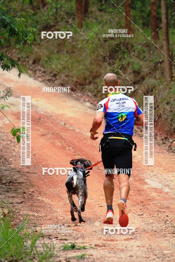 Acquista le foto dell'eventoKaluan� Trail e Canicross - Irisphoto in Fotop