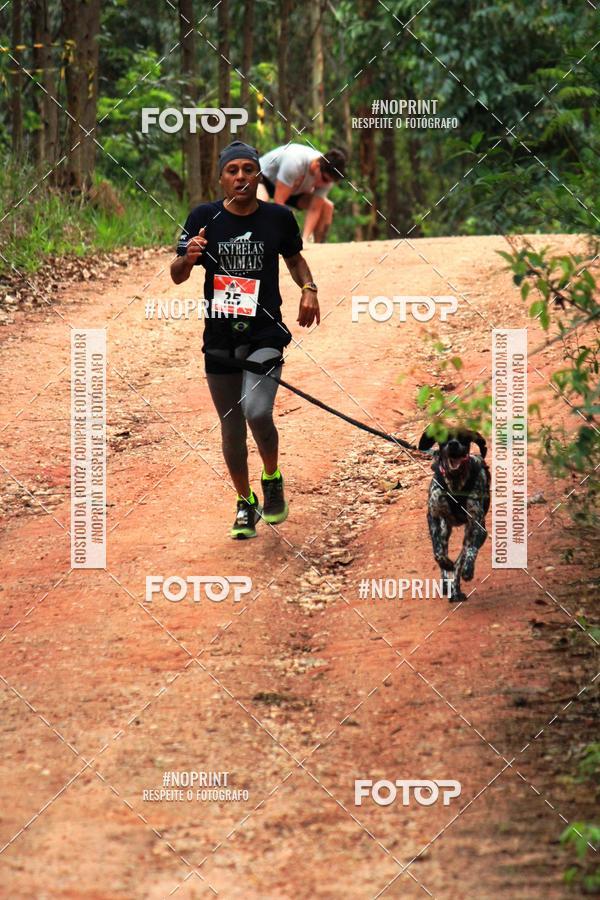 Acquista le foto dell'eventoKaluan� Trail e Canicross - Irisphoto in Fotop