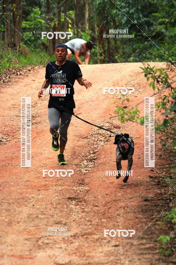 Acquista le foto dell'eventoKaluan� Trail e Canicross - Irisphoto in Fotop