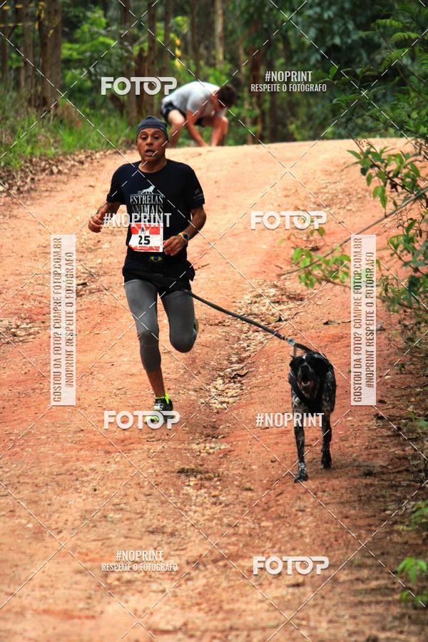 Acquista le foto dell'eventoKaluan� Trail e Canicross - Irisphoto in Fotop