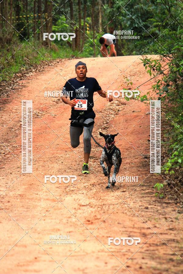 Acquista le foto dell'eventoKaluan� Trail e Canicross - Irisphoto in Fotop
