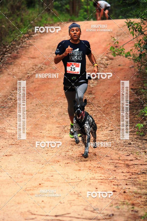 Acquista le foto dell'eventoKaluan� Trail e Canicross - Irisphoto in Fotop