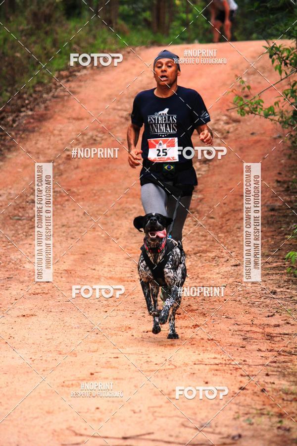 Acquista le foto dell'eventoKaluan� Trail e Canicross - Irisphoto in Fotop