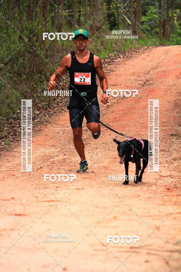 Buy your photos of the eventKaluan� Trail e Canicross - Irisphoto on Fotop