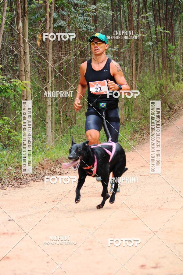 Buy your photos of the eventKaluan� Trail e Canicross - Irisphoto on Fotop