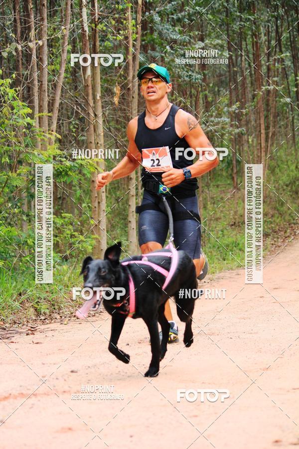 Buy your photos of the eventKaluan� Trail e Canicross - Irisphoto on Fotop