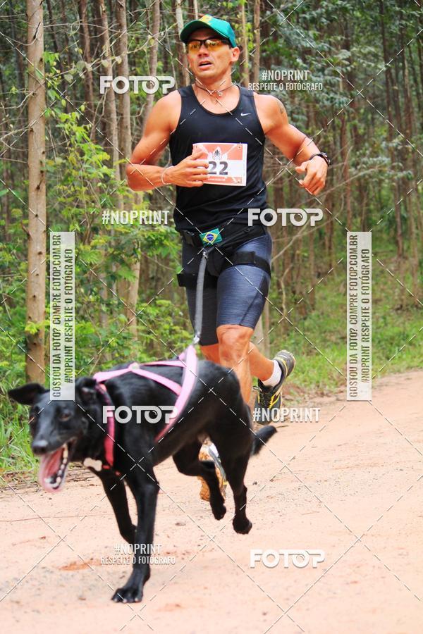 Buy your photos of the eventKaluan� Trail e Canicross - Irisphoto on Fotop