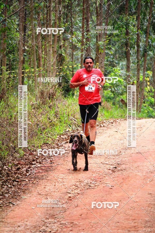 Buy your photos of the eventKaluan� Trail e Canicross - Irisphoto on Fotop