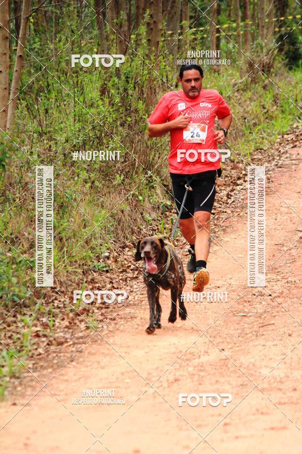 Buy your photos of the eventKaluan� Trail e Canicross - Irisphoto on Fotop