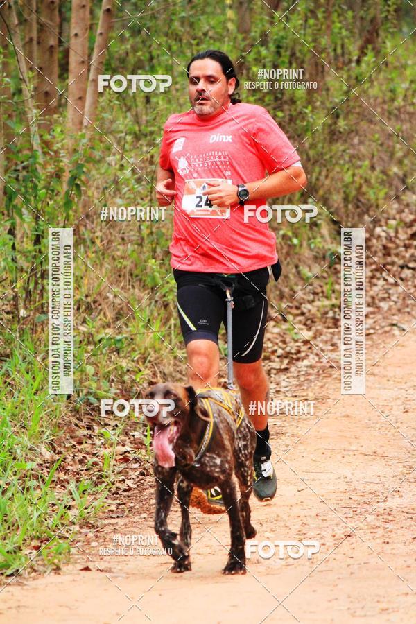 Buy your photos of the eventKaluan� Trail e Canicross - Irisphoto on Fotop