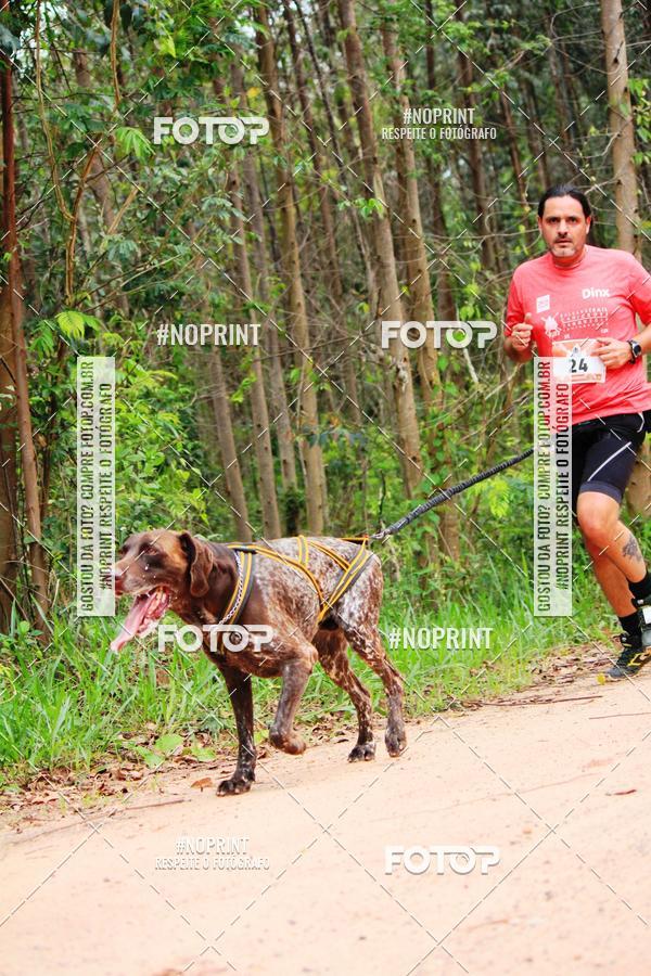 Buy your photos of the eventKaluan� Trail e Canicross - Irisphoto on Fotop