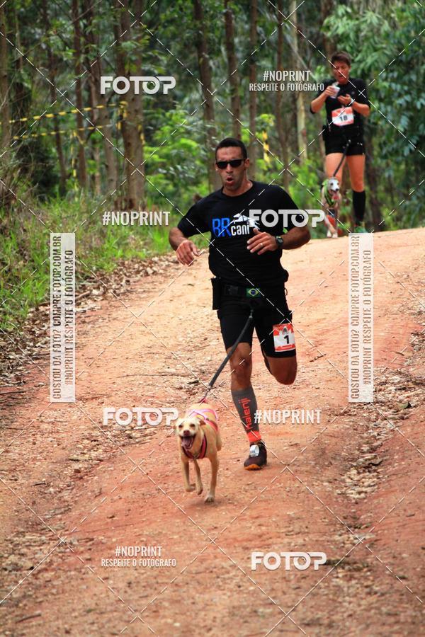 Buy your photos of the eventKaluan� Trail e Canicross - Irisphoto on Fotop