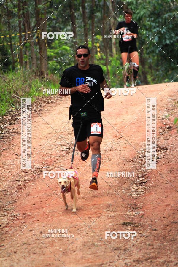 Buy your photos of the eventKaluan� Trail e Canicross - Irisphoto on Fotop