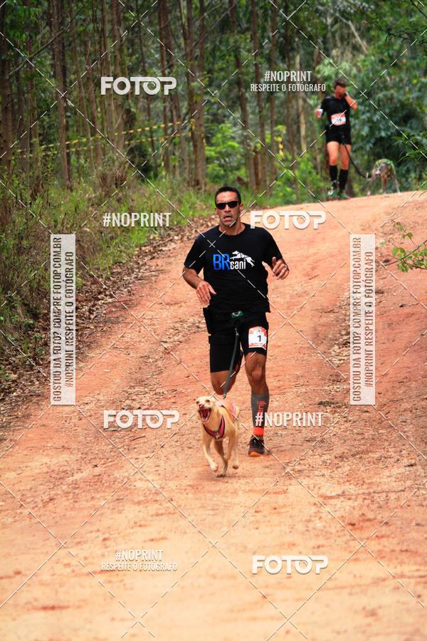 Buy your photos of the eventKaluan� Trail e Canicross - Irisphoto on Fotop