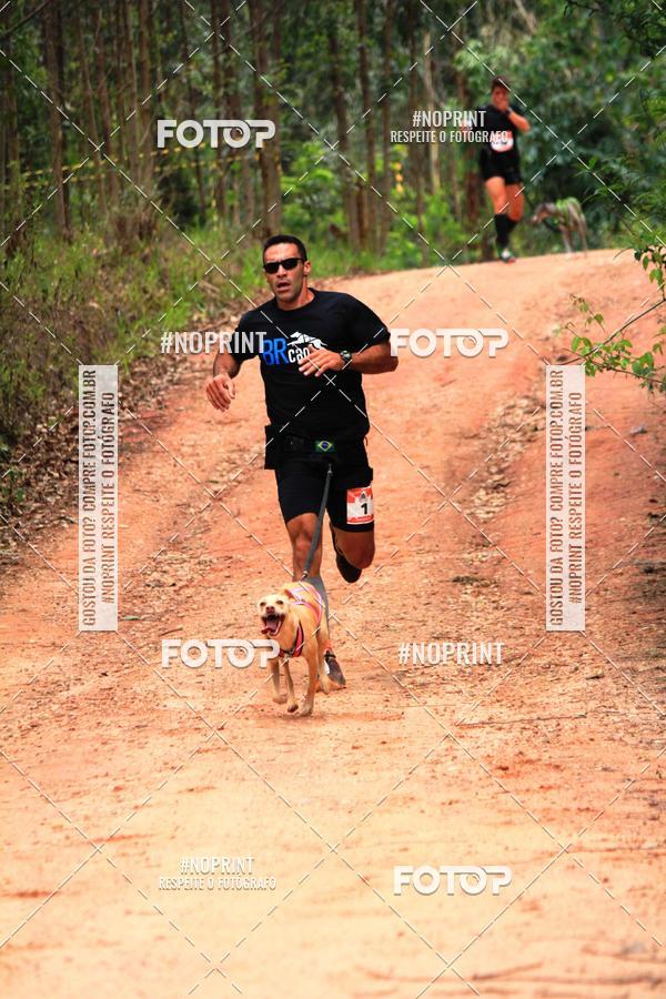 Buy your photos of the eventKaluan� Trail e Canicross - Irisphoto on Fotop