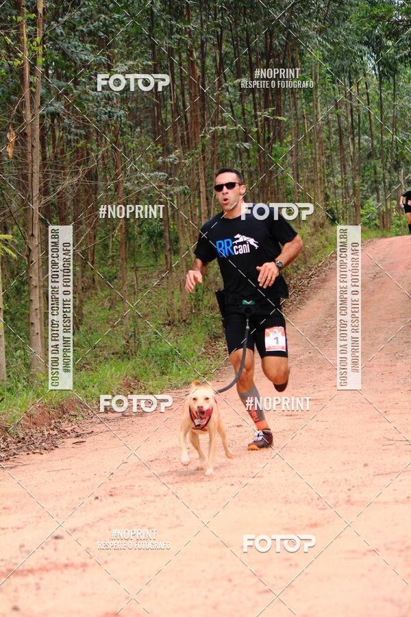 Buy your photos of the eventKaluan� Trail e Canicross - Irisphoto on Fotop