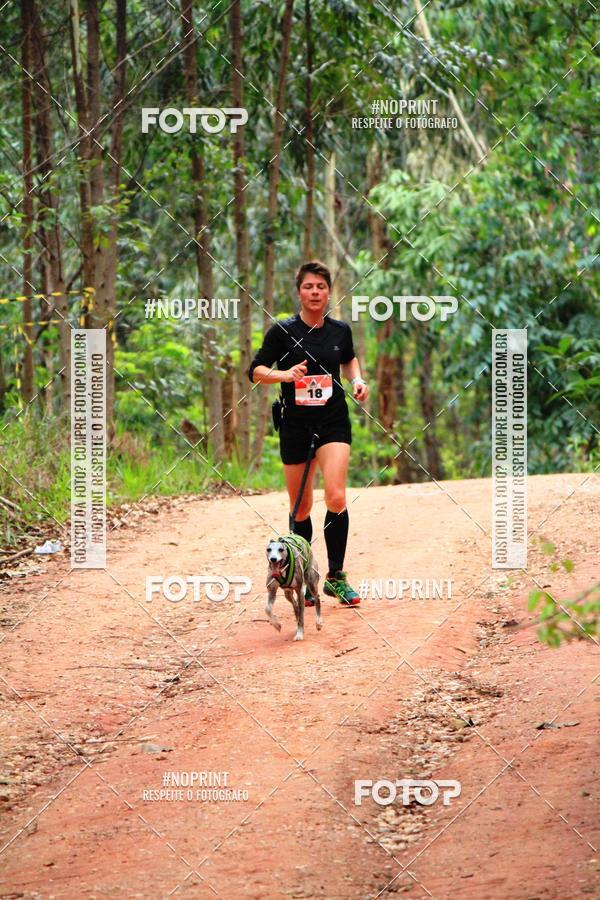 Buy your photos of the eventKaluan� Trail e Canicross - Irisphoto on Fotop