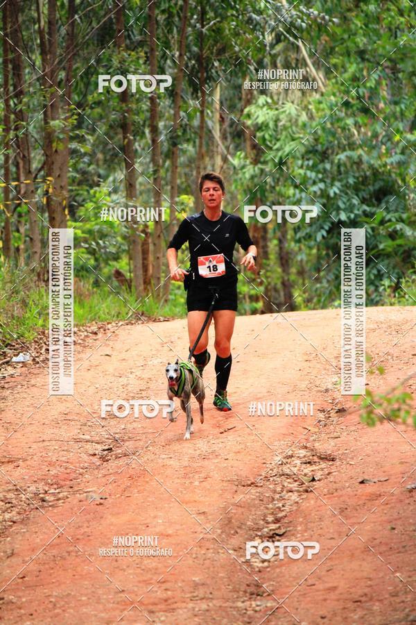 Buy your photos of the eventKaluan� Trail e Canicross - Irisphoto on Fotop