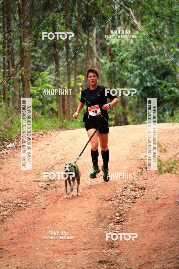 Buy your photos of the eventKaluan� Trail e Canicross - Irisphoto on Fotop