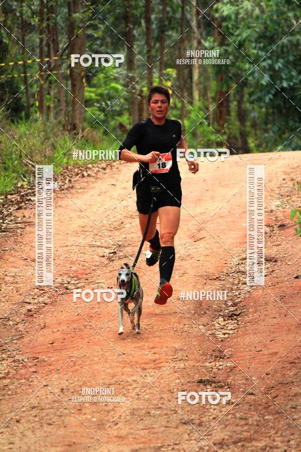 Buy your photos of the eventKaluan� Trail e Canicross - Irisphoto on Fotop